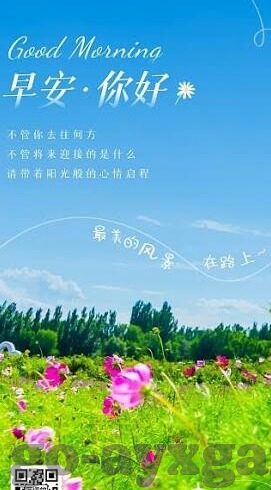 香港体育足球比分直播-香港体育足球比分直播，一场跨越时空的绿茵狂欢